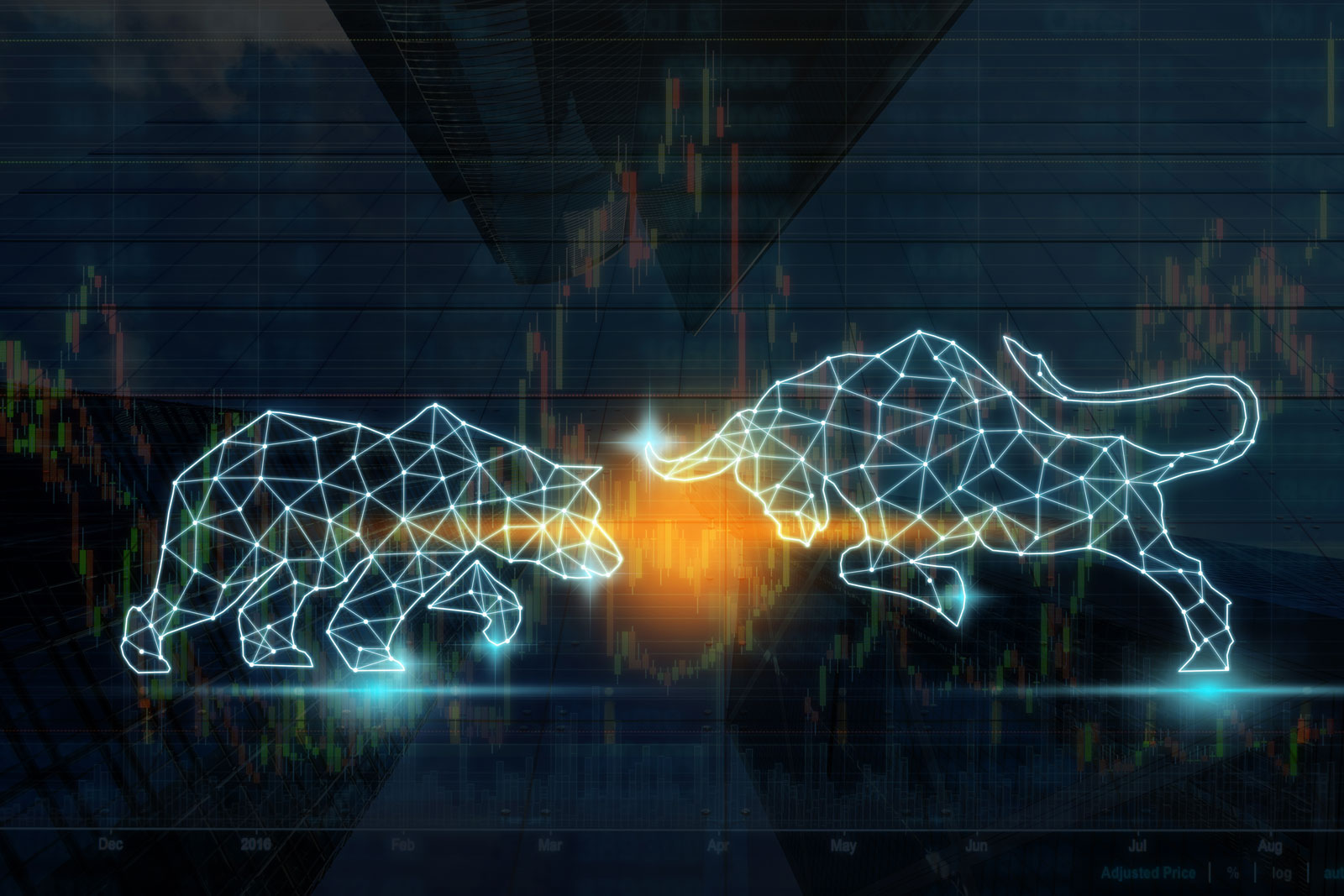 bear and bull - Investment Process